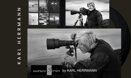KARL HERRMANN —PHOTOGRAPH + CINEMATOGRAPHY