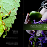THE GARDEN INSIDEOUT