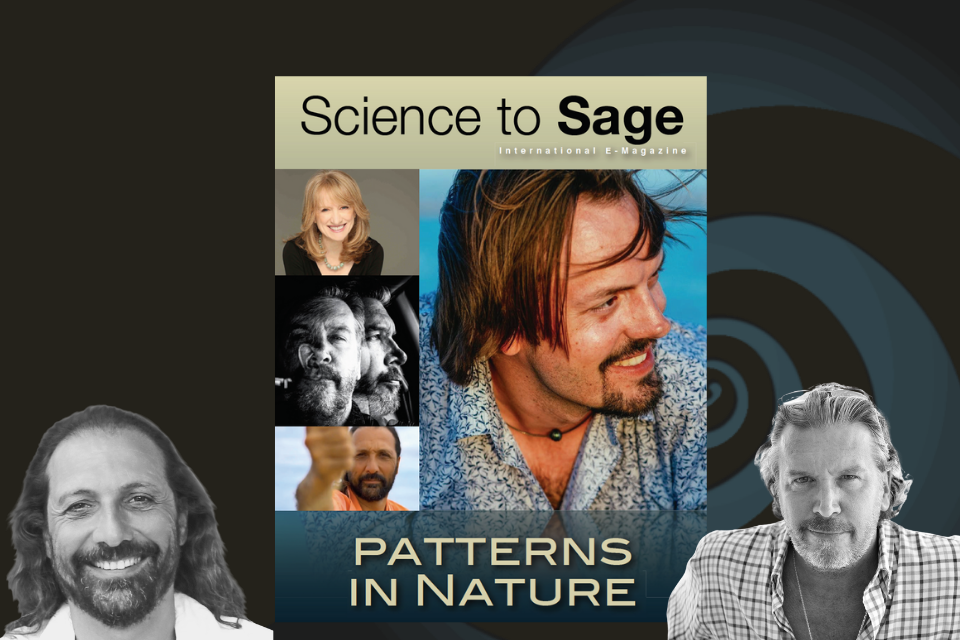 34—Patterns in Nature