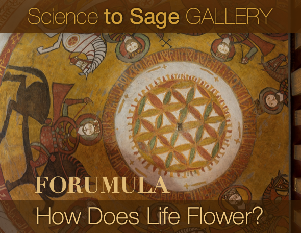 HOW DOES LIFE FLOWER