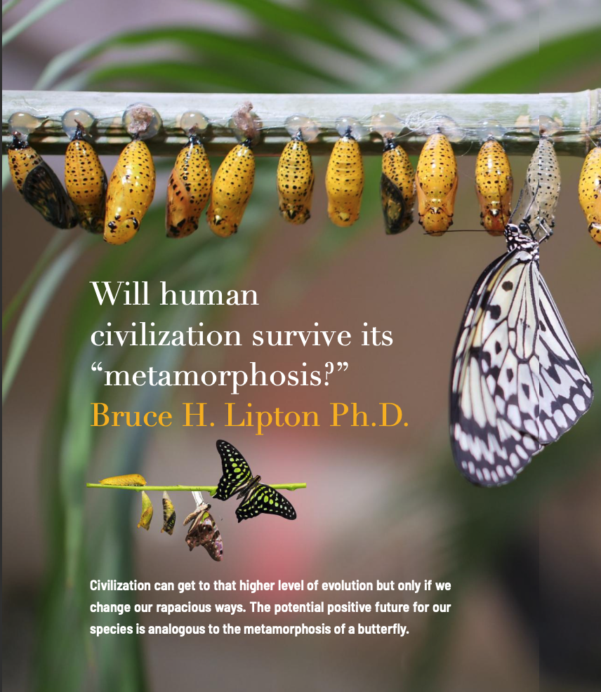 CONSCIOUSNESS: SCIENCE, SPIRITUALITY, HEALING 8 Bruce H. Lipton Ph.D and Science to Sage